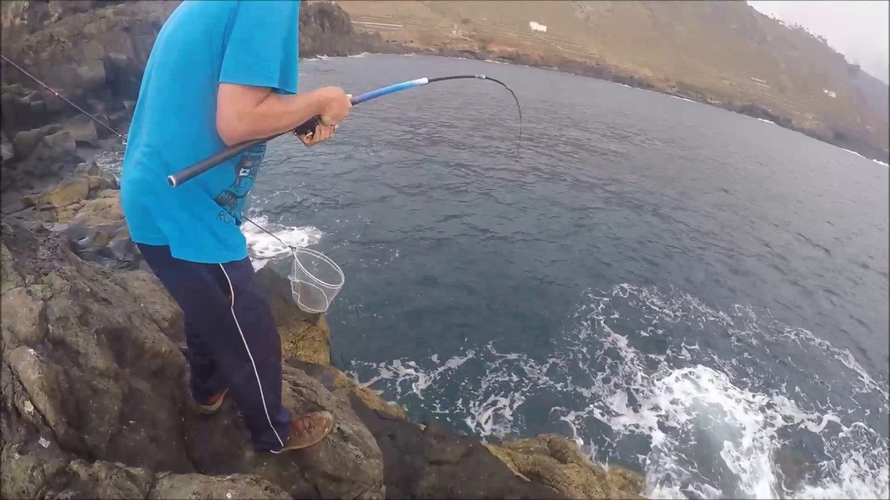 Sama Roquera 4,1 Kilos a boya (Pagrus auríga)