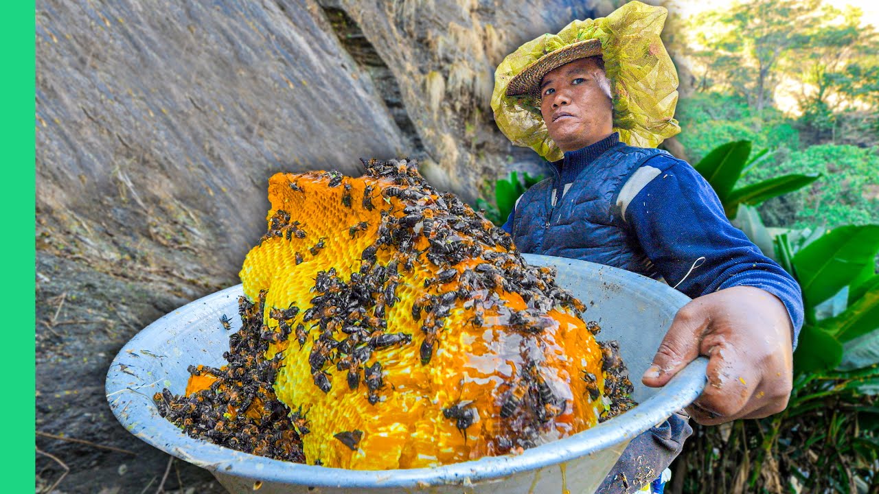 Surviving Nepal!! Street Food, Tribes & Mad Honey!!