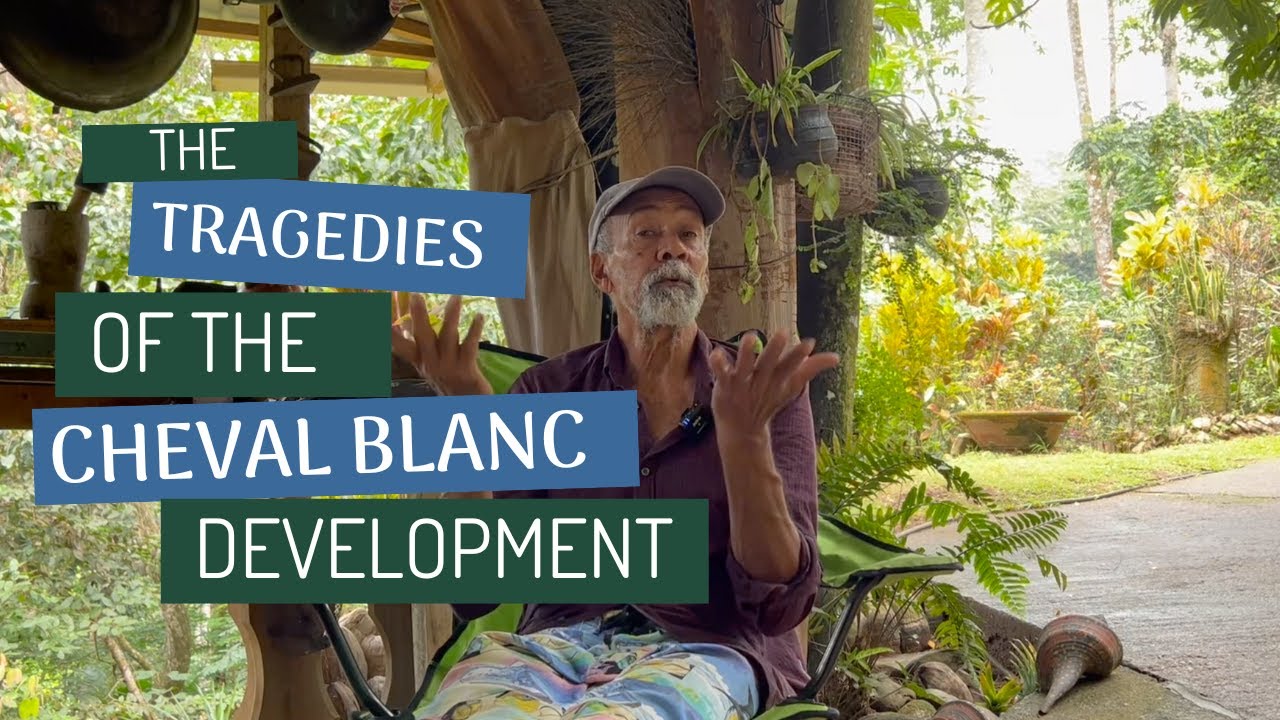 The Tragedies of the Cheval Blanc Development