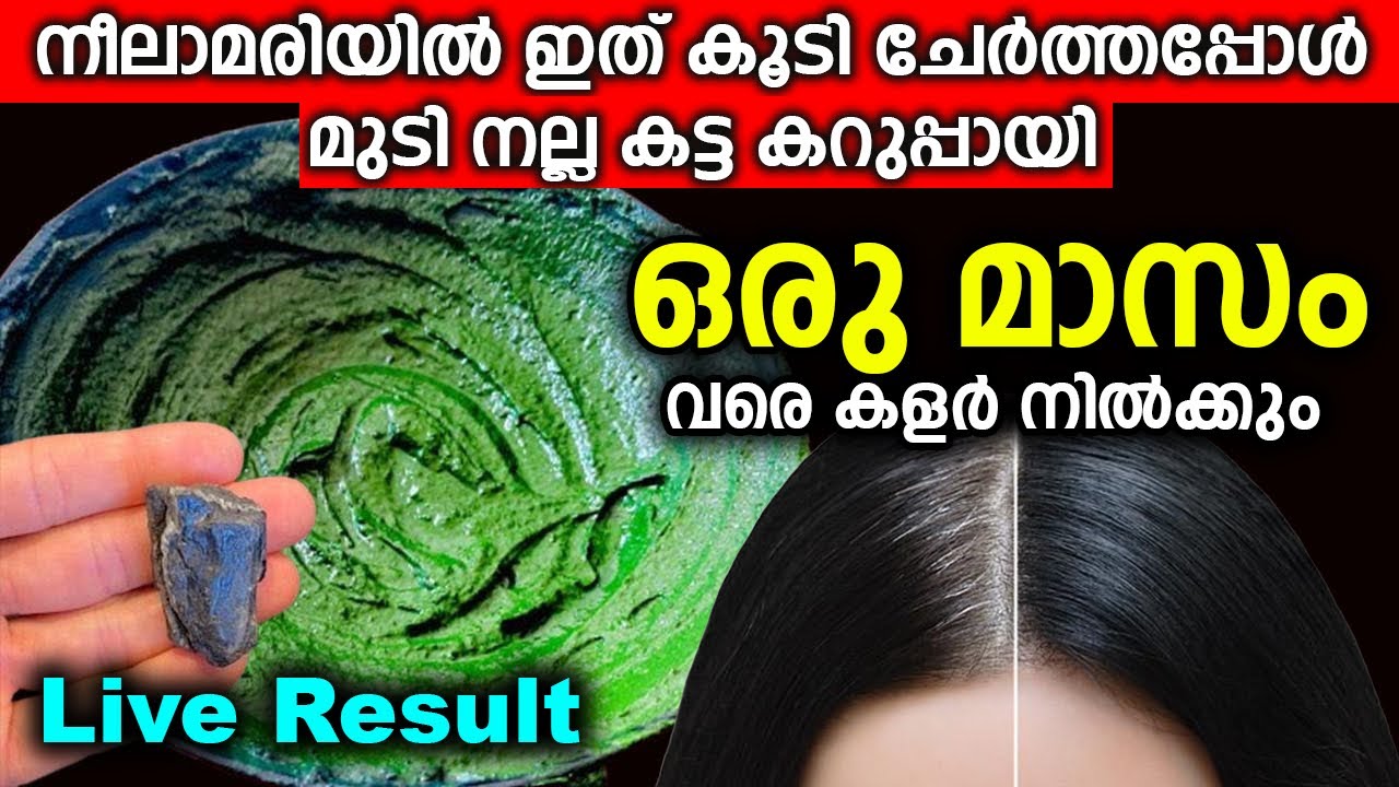ഒറ്റ ദിവസം കൊണ്ട് മുടി കറുപ്പിക്കാൻ നീലമാരി കൂടെ ഇത് ഒരു നുള്ള് കൊടുത്താൽ മതി || Natural Hair Dye