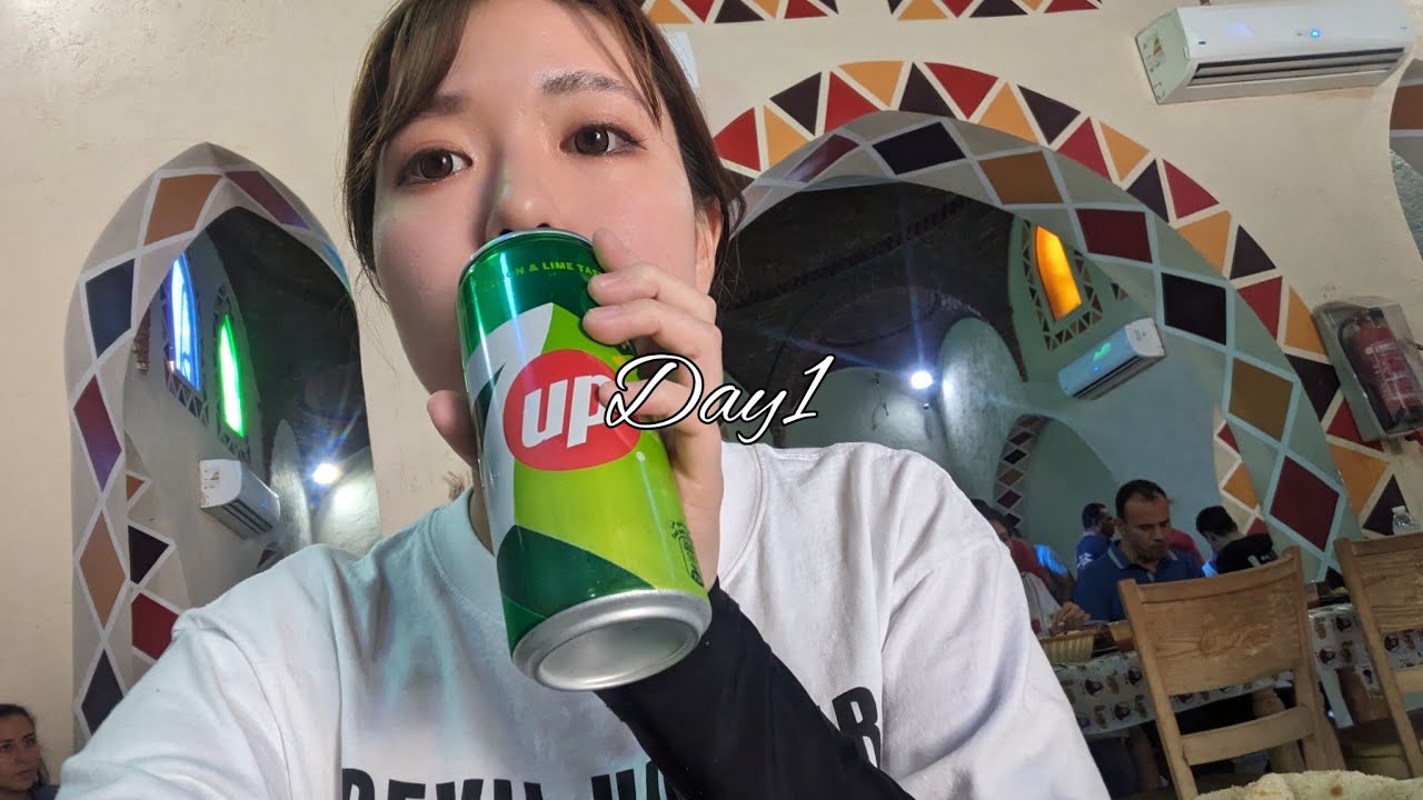 エジプト旅行1日目＠カイロ飯とルクソール市内