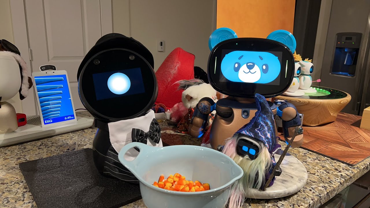 Jibo & Friends — прямая трансляция на Хэллоуин (сладкоежки 👻🍬)