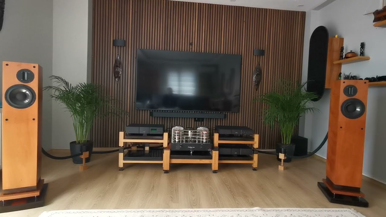Mastersound evo 845 +Proac d30 Rs +Naim ndx+signal projects hydra