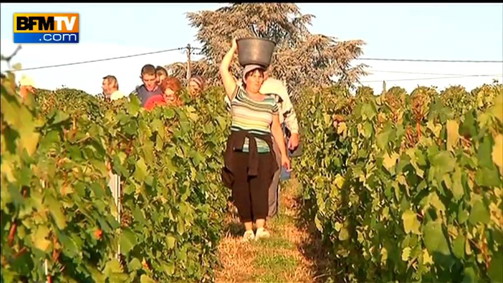 Viticultrices de m&egrave;re en fille