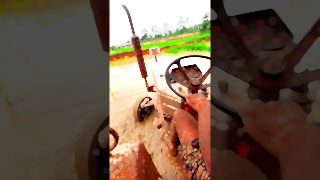 Tractor Stunt💪🤩#desi #india #viral #village #farmer #sidhumoosewala #tractor #stunt