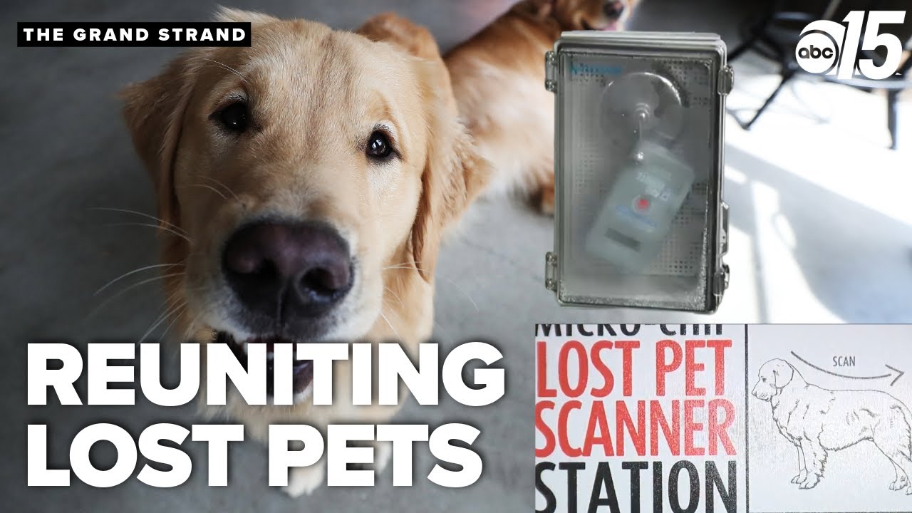 Grand Strand pet scanners help reunite lost pets with owners