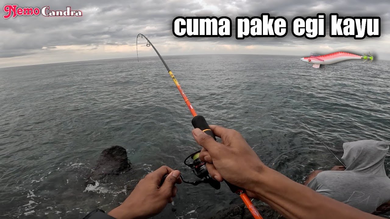 Mancing cumi cuma pake egi kayu tetap bisa strike || capung 622 1-3lb + Ryobii Ultra Power 1000