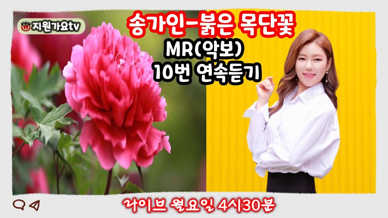 #MR#송가인#붉은 목단꽃#쉬운 여자키(F#m)#악보#10번 연속듣기#지원가요tv#