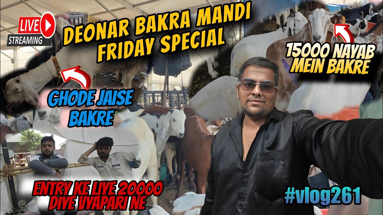 🇮🇳 Deonar Bakra Mandi latest updated || deonar Bakra Mandi today || India biggest Bakra Mandi 💪