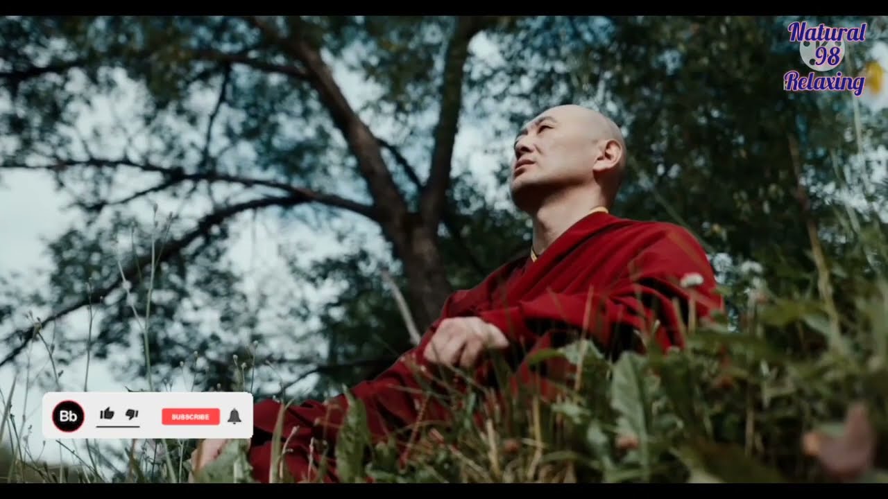 Meditation Video 📸 Relaxing Music 🎶 Natural 98 Relaxing