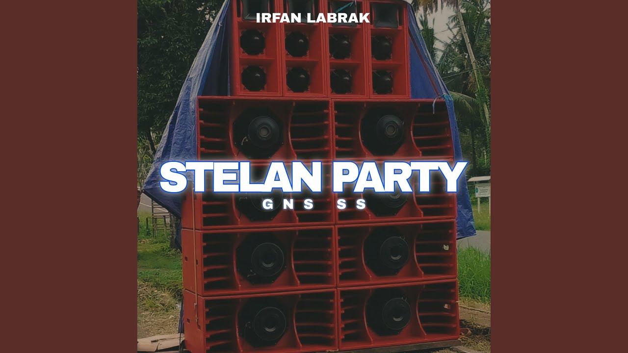 Stelan Party Gns Ss