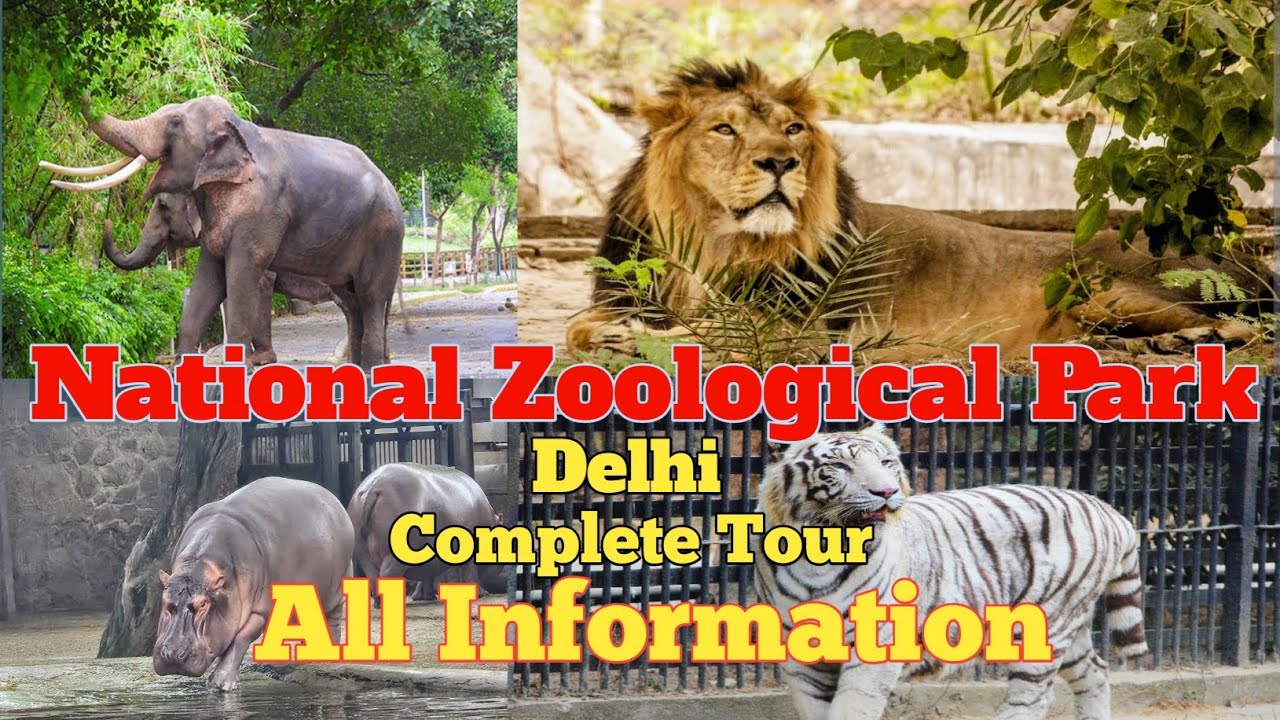 #Delhi Zoo  #Delhi ka Chidiyaghar #National Zoological Park / Chidiyaghar Delhi 