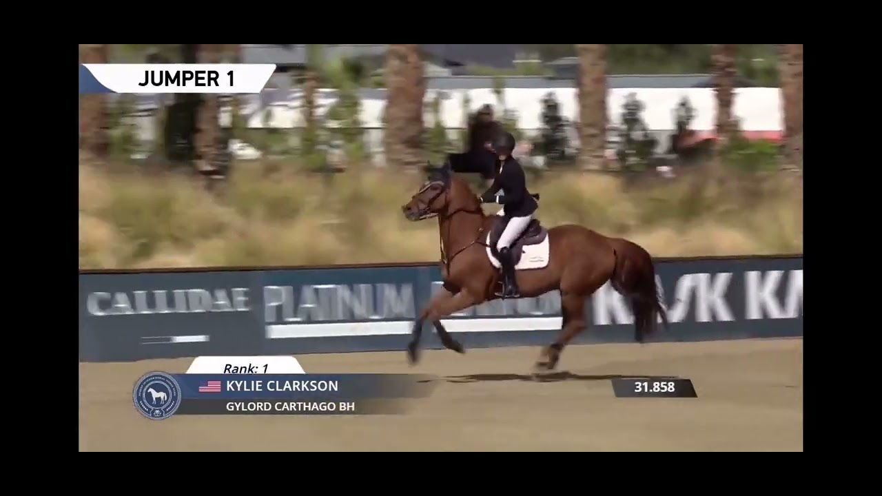 Gylord Carthago 🥇 1.40