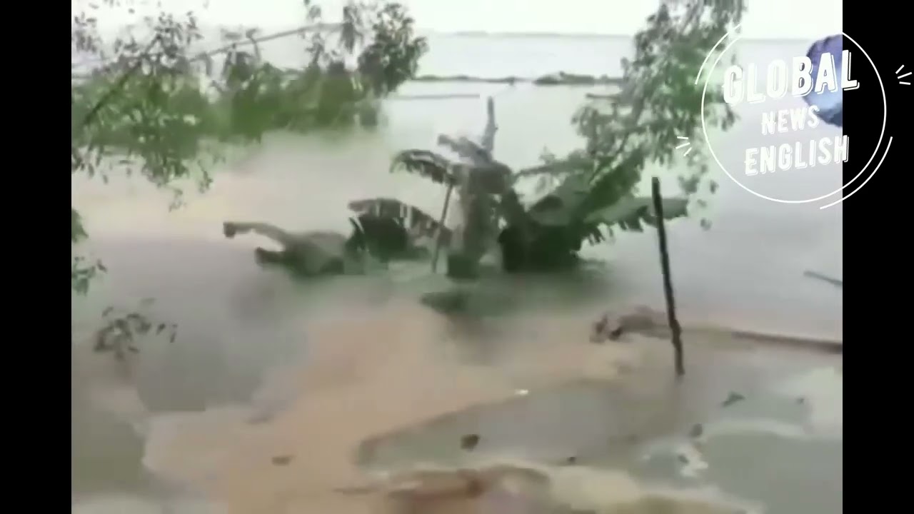 Live Coverage of Cyclone Remal | Real-Time Updates and Impact Analysis
