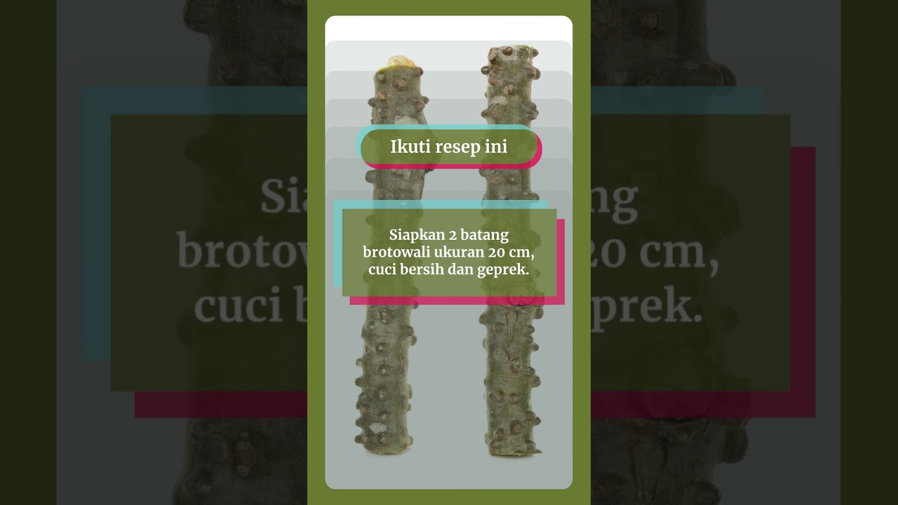 Resep Herbal Diabetes dari Brotowali