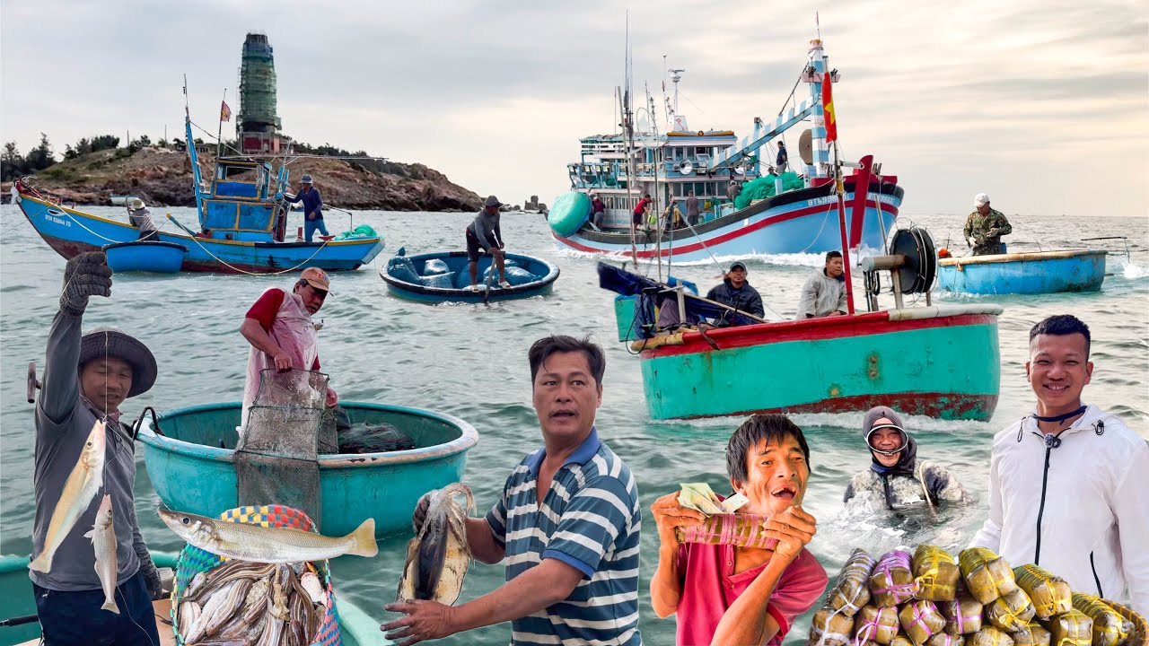 Vịnh La G&agrave;n M&ugrave;a Hải Sản V&agrave;o Bờ | H&agrave;ng Tấn C&aacute; Tr&iacute;ch Đ&ecirc;m Cảng Li&ecirc;n Hương