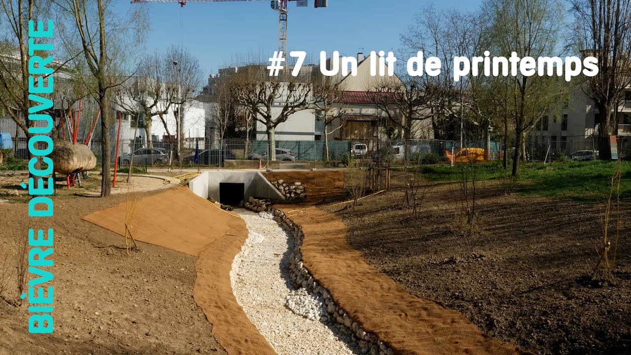 Bièvre découverte   #7 Un lit de printemps