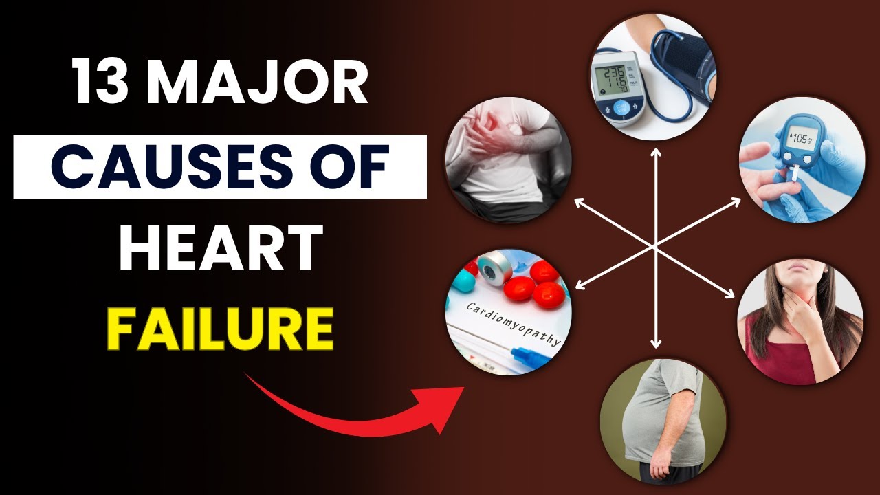 13 Causes of Heart Failure You Shouldn’t Ignore | Early Major Causes of Heart Failure