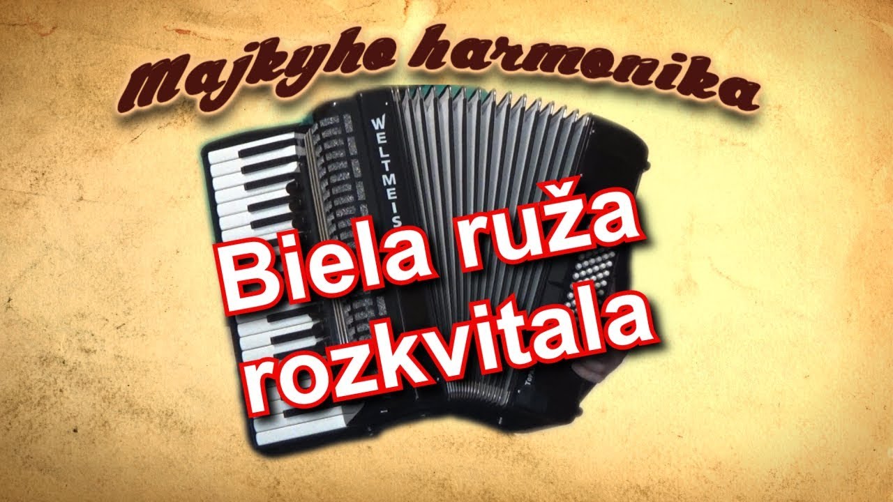Majky - Biela ruža rozkvitala (akordeón)