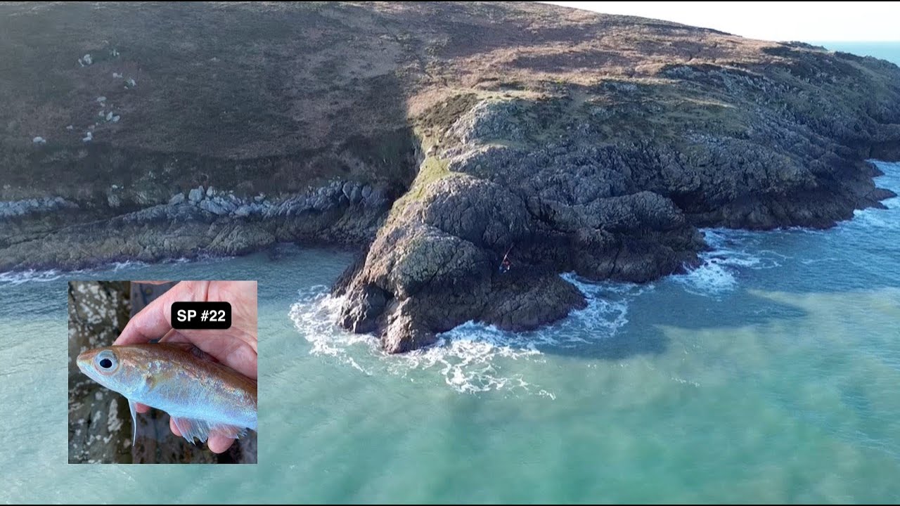 Fishing AT Pen Anglas on the North Pembrokeshire coast. A stunning location with amazing wildlife