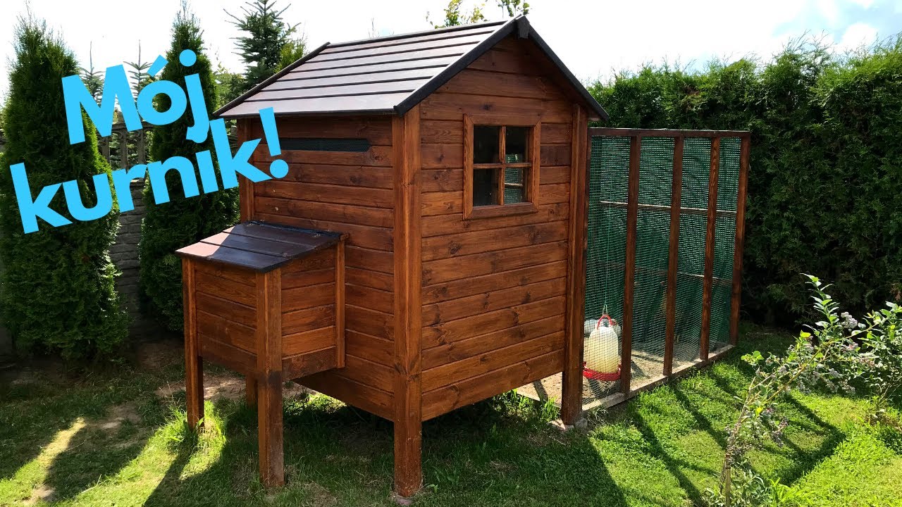 Kurnik dla kur i moje kury nioski. Hodowla przydomowa. Pasze i karmienie kur. (hen house, chickens)