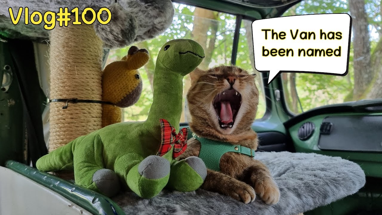 The NAME of our VAN 😻🚌Vlog #100