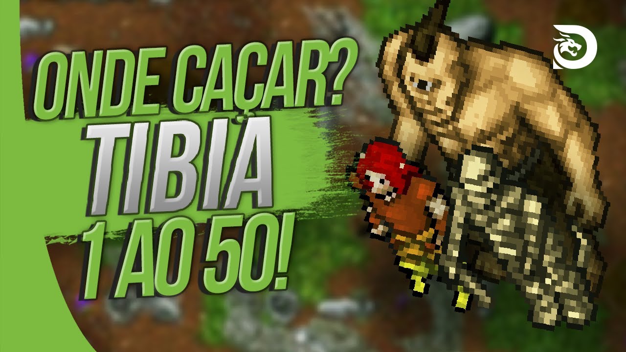 Tibia | 6 HUNTS para LEVEL 1 ao 50 sendo FREE ACCOUNT!