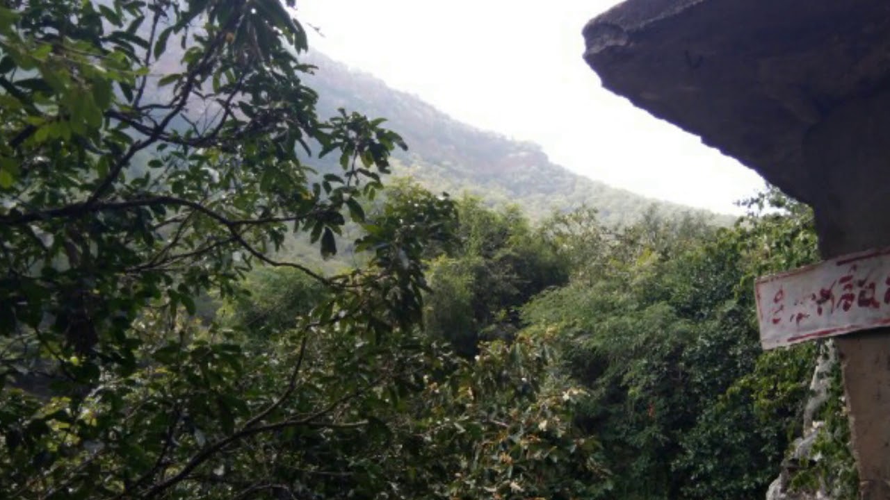 Bhairavakonakona the Lord Shiva temple inside a forest