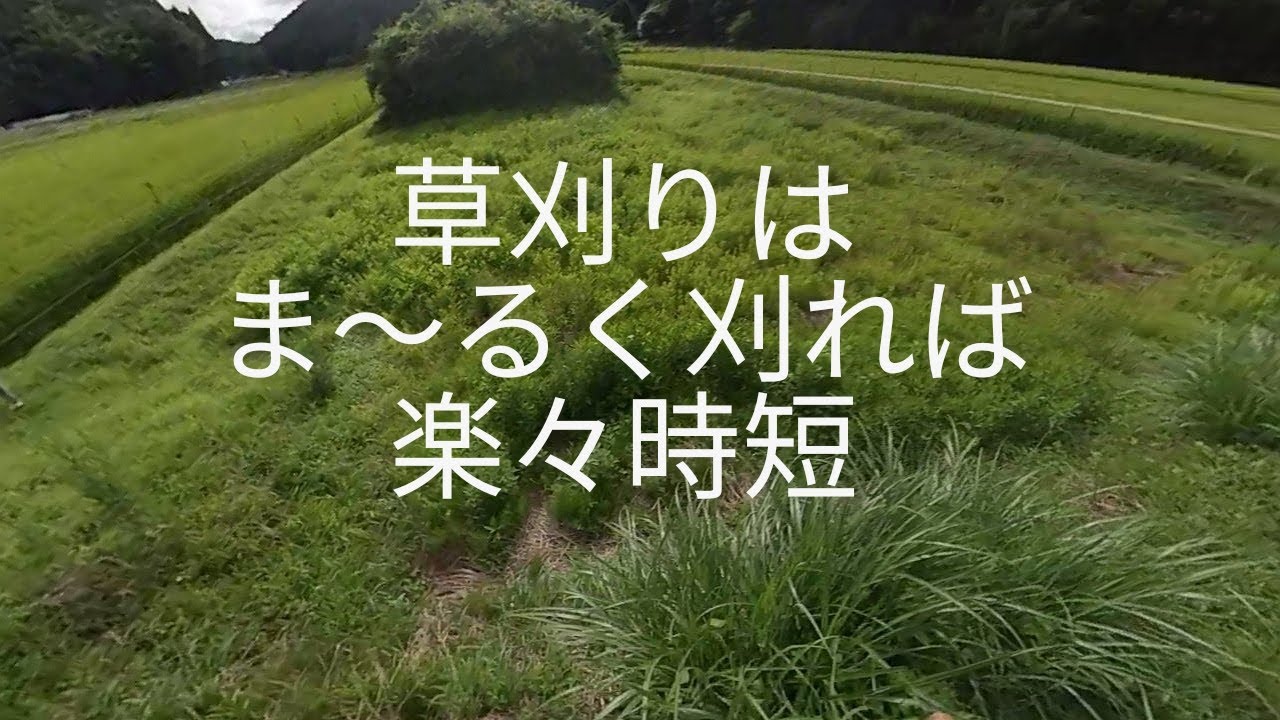 【草刈り】草刈りは自走式草刈機と刈払機の二刀流で楽々時短