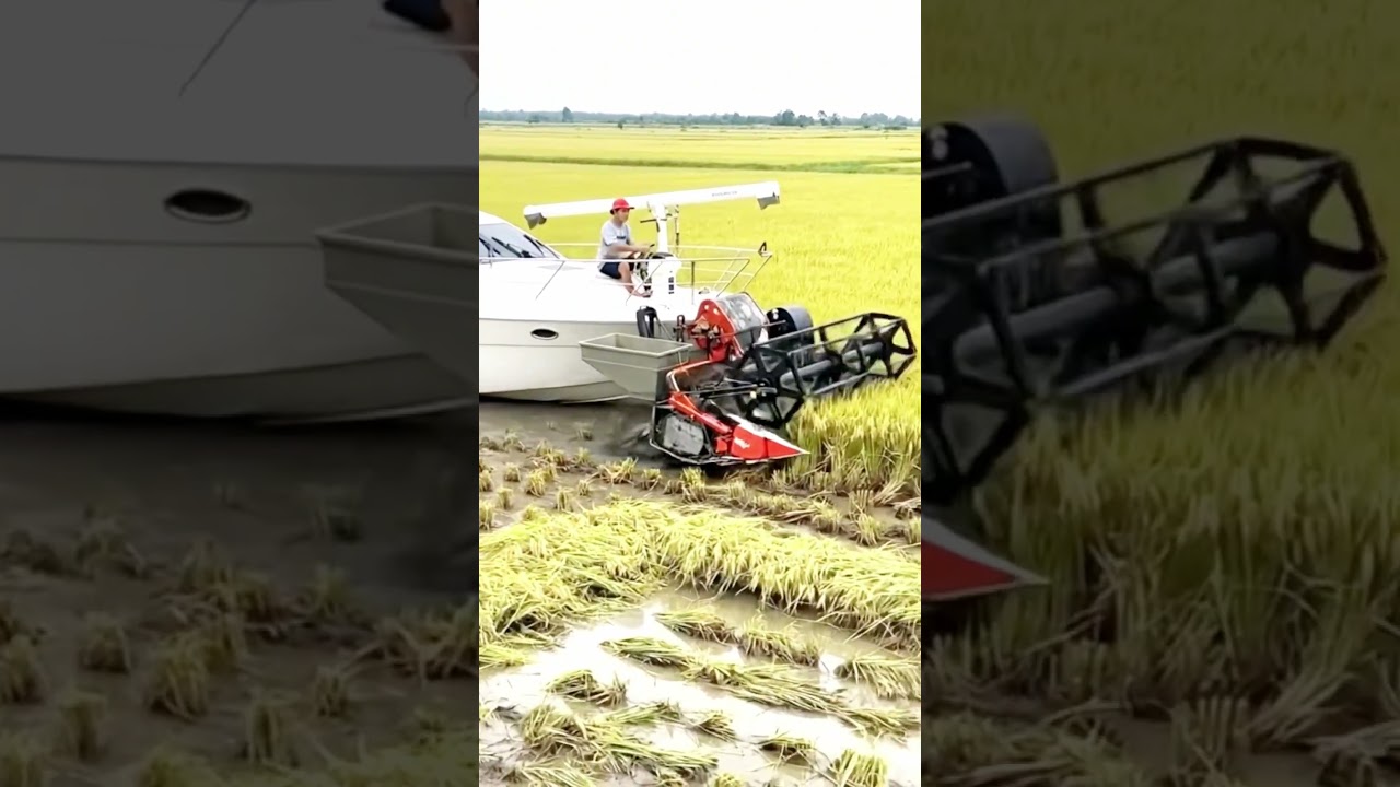 A large rice harvesting boat has a jet plane waiting to transport the rice. 