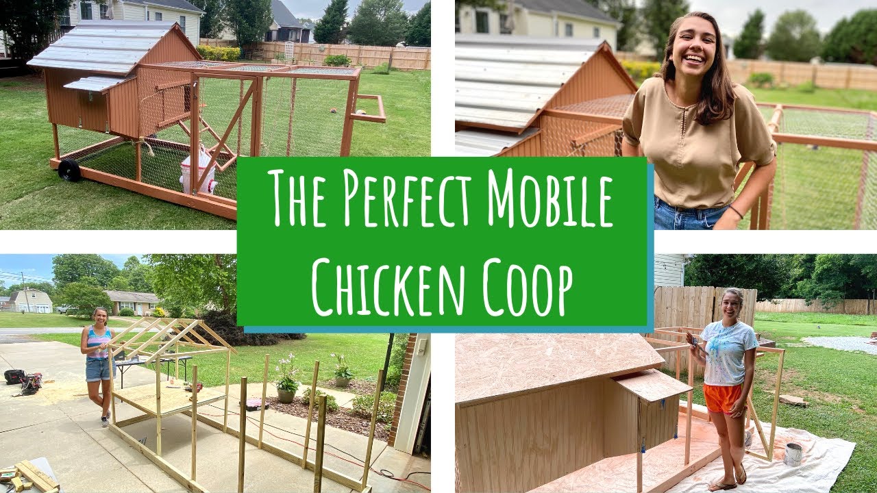 How to BUILD the PERFECT MOBILE CHICKEN COOP // DIY EASY to Use and Build BACKYARD Chicken Coop