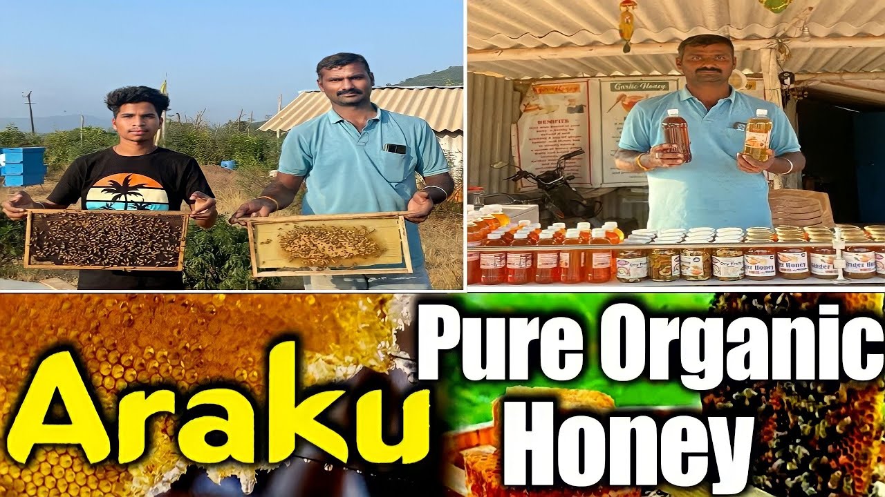 స్వచ్చమైన araku honey /Araku Natural honey/Alluri district/araku tribals/araku honey ￼industries