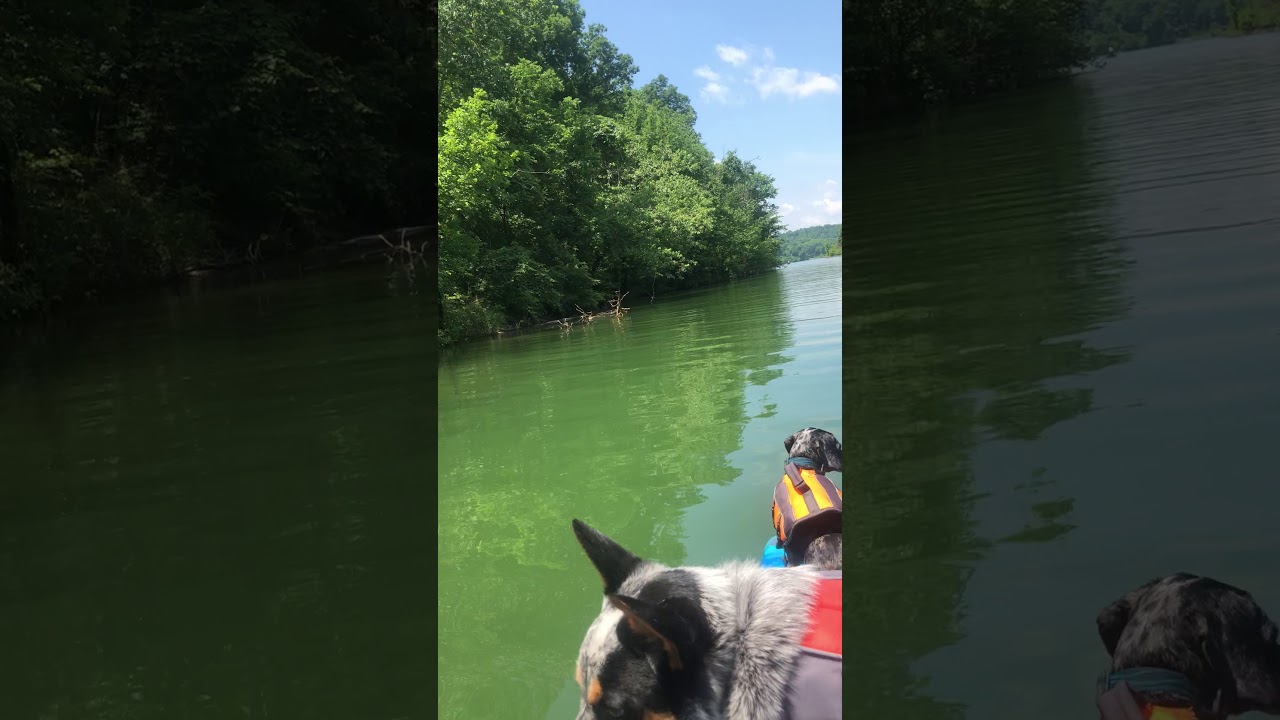 Video of Nolin River State Park, KY from Shelly S.