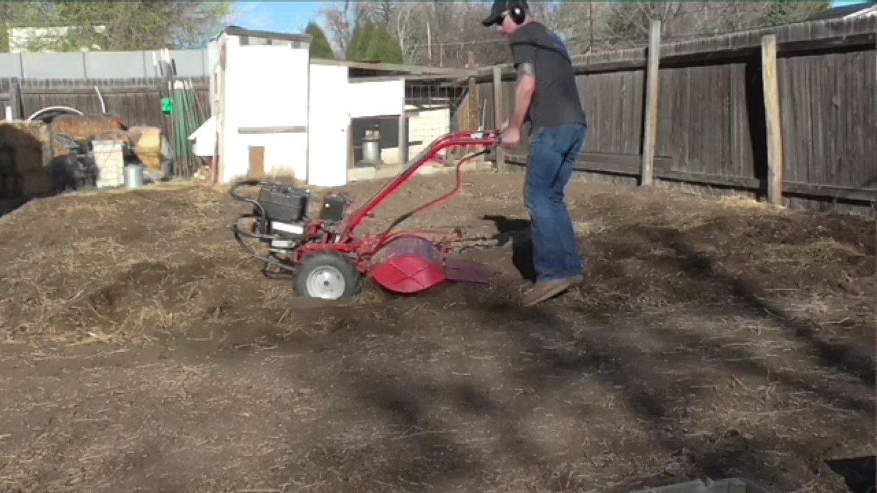 Hired a guy to roto till my garden...