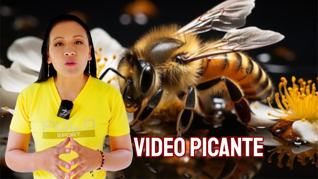 Hablé la Verdad Sobre las Abejas $ Dinero dulce Dinero