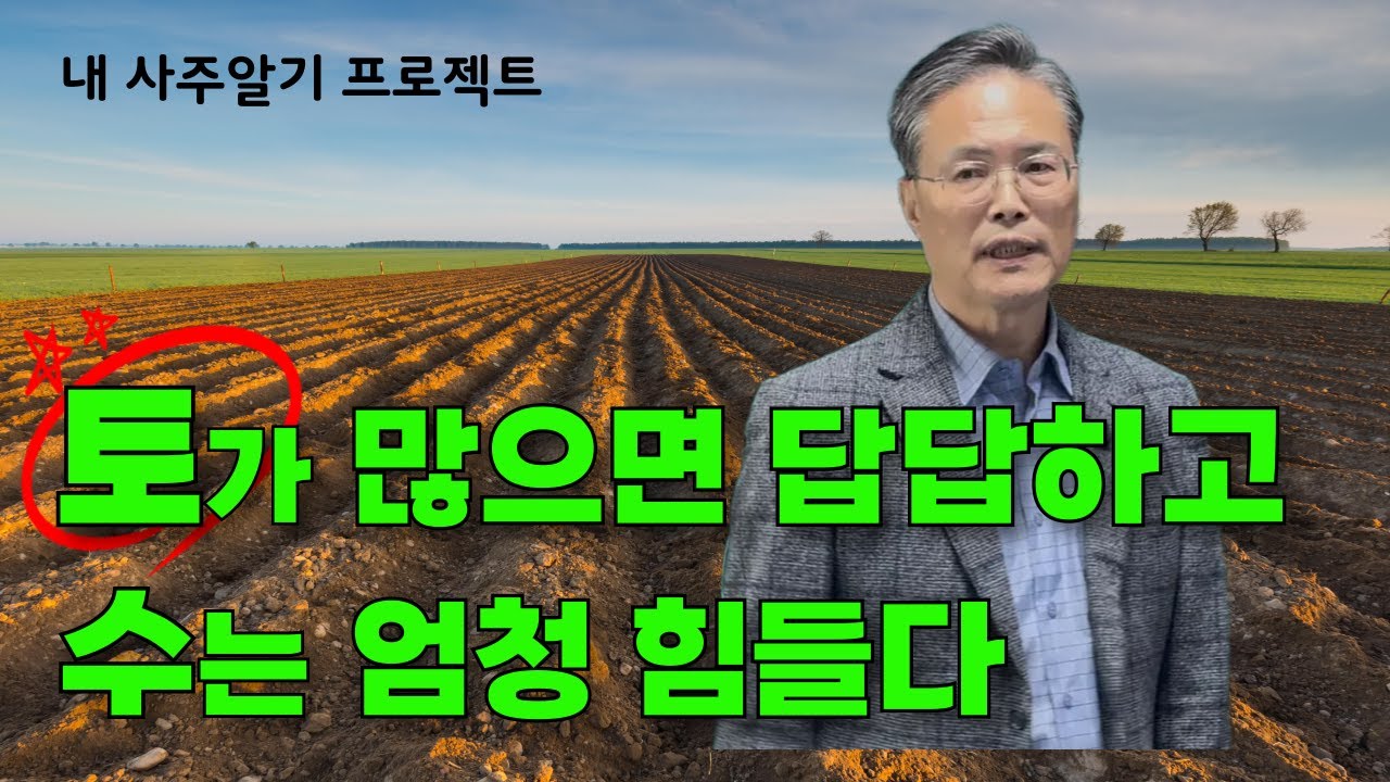 토 많으면 답답하고 수는 미친다(내 사주알기 프로젝트)