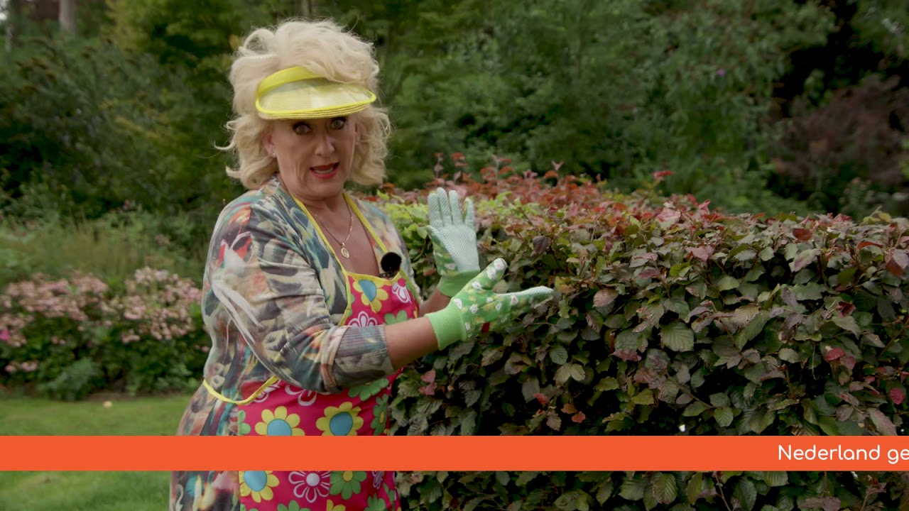 Karins Tuintips - De Beuk Erin