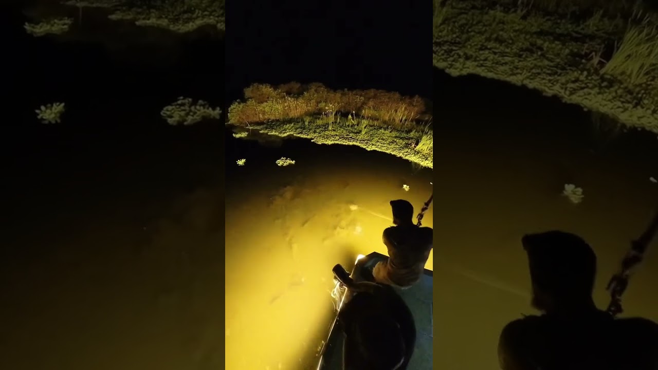 Doing what we do best having a good time, and letting our arrows fly.#bowfishing #oneida#muzzy#FL