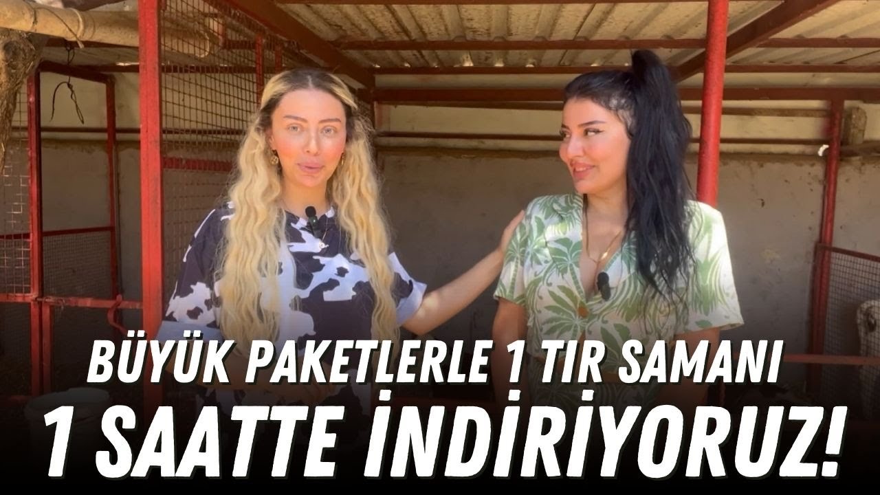 Büyük Paketlerle 1 Saat 1 Tır Samanı İndiriyoruz! / Buzağıları Küpeliyoruz