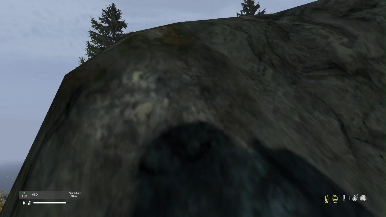 DayZ