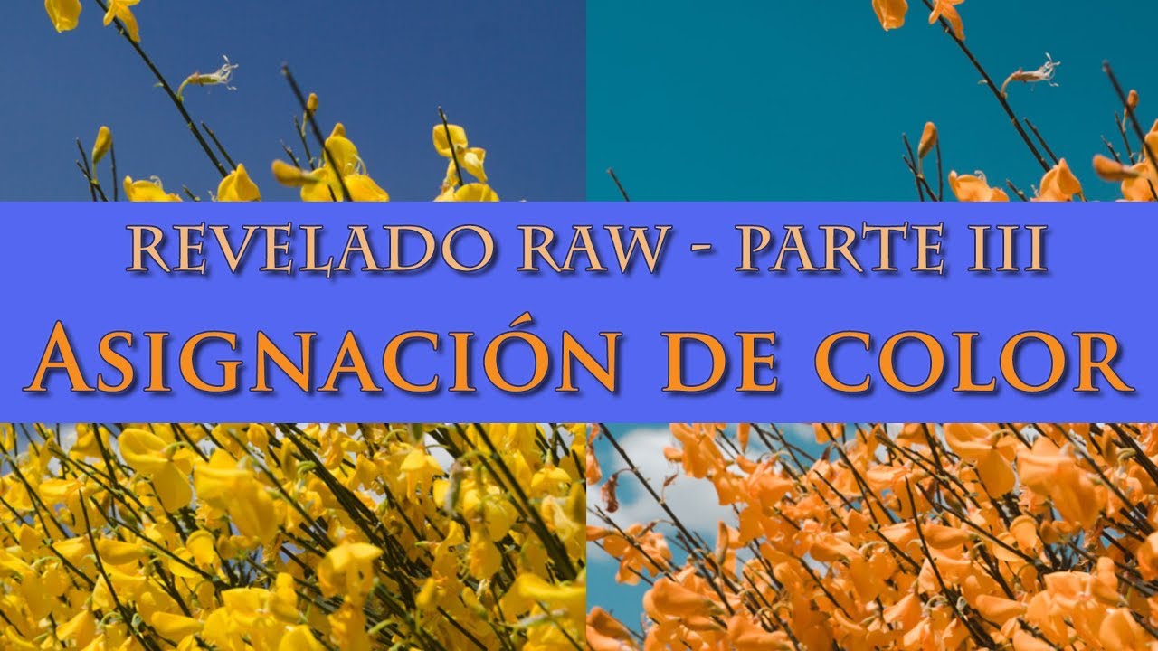 Revelado RAW: asignar color