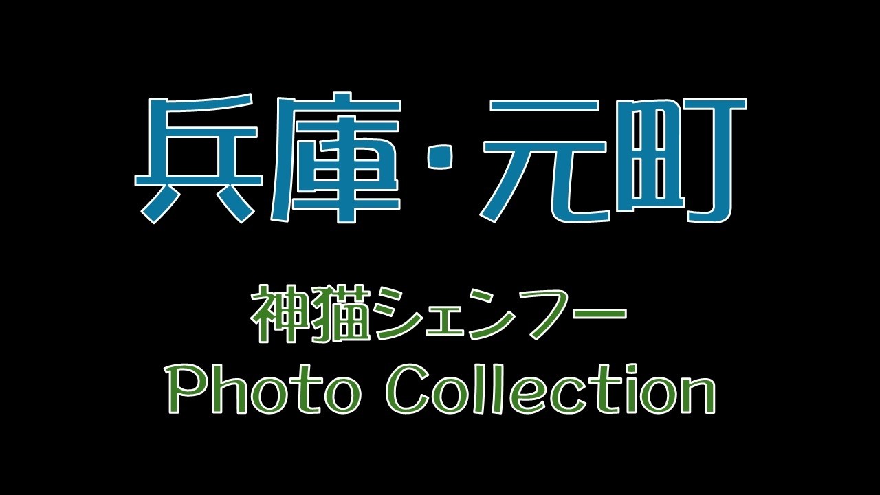 兵庫・元町　神猫シェンフー　Photo Collection