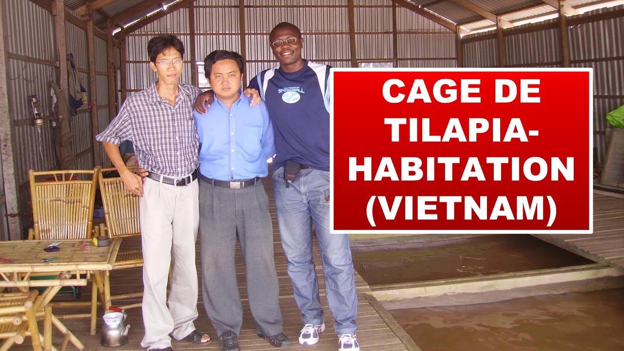Visite d'une cage de tilapia-habitation (Vietnam)