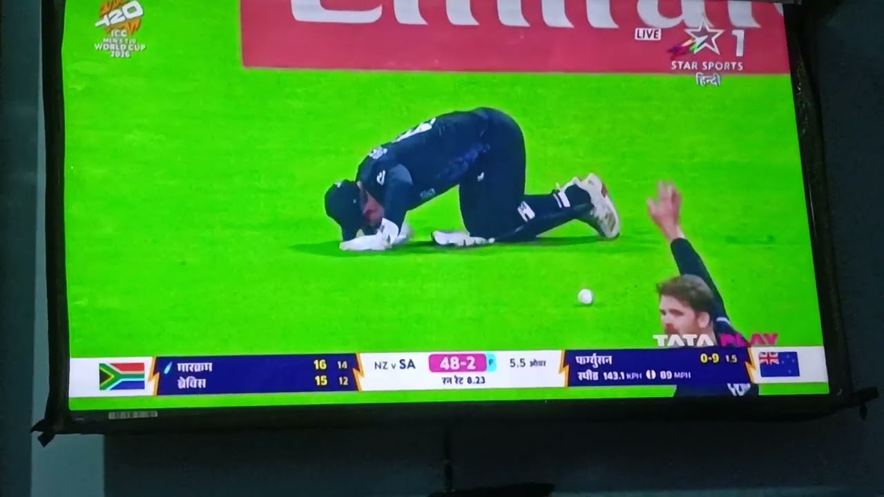Highlights 