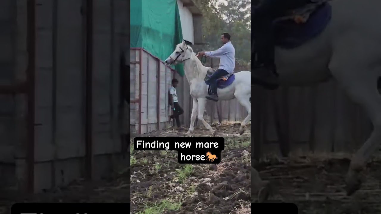 2 nukhri mare pasand nhi ayi😕 