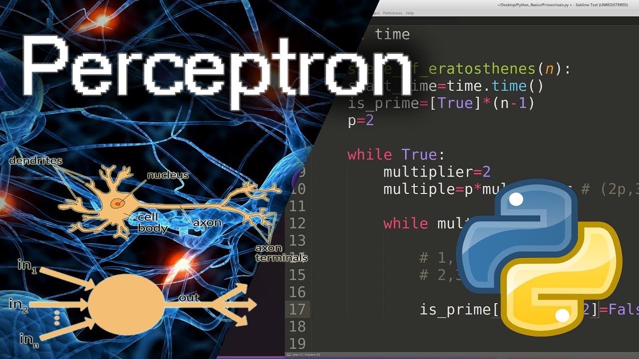 Single-Layer Perceptron: Background & Python Code