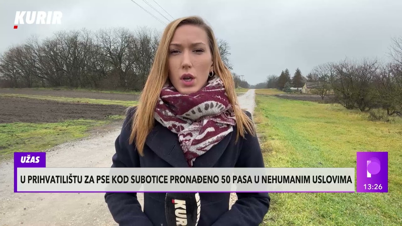 Otkriven užas u Subotici: UHAPŠENA DEVOJKA (21) ZBOG ZLOSTAVLJANJA I UBIJANJA PASA!