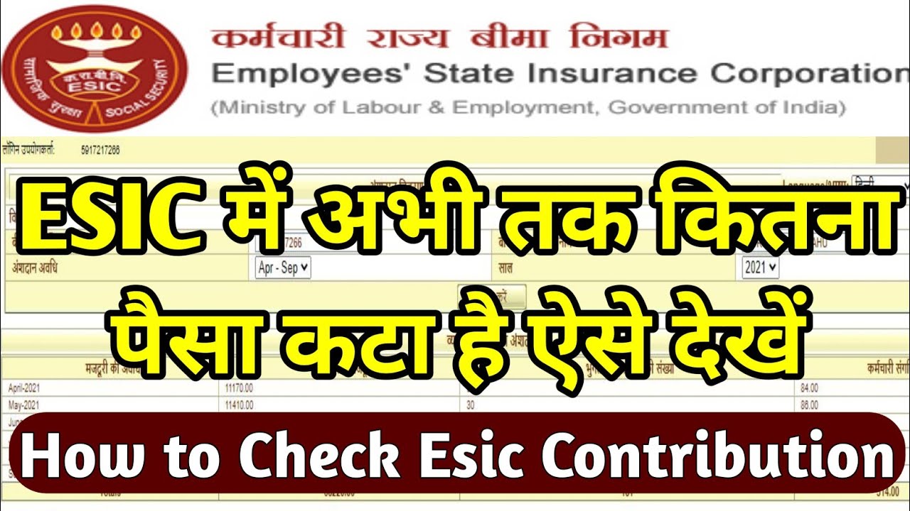 How to Check Esic Contribution | ESIC Contribution Statment Download करें Online