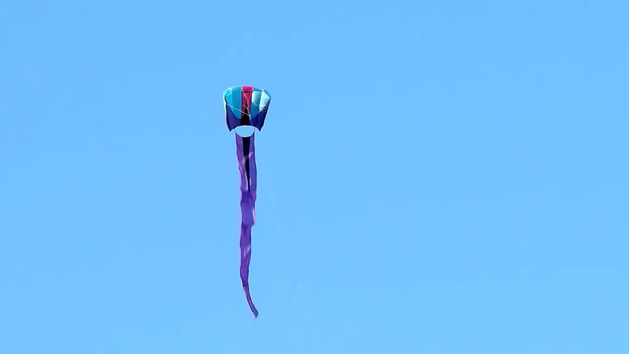 Prism Bora 7 Kite Review