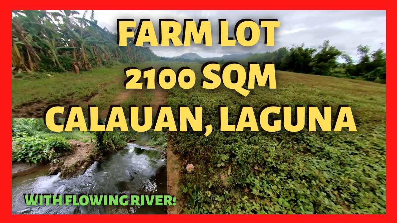 2100 Sqm Farm Lot in Calauan Laguna with Flowing River (Lot Code 2209)